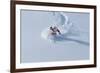 Santa Skiing at Snowbird Ski Resort, Wasatch Mountains, Utah.-James Kay-Framed Photographic Print