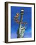 Santa Visits Lady Liberty-Ben Otero-Framed Giclee Print