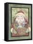 Santa with Basket-Debbie McMaster-Framed Stretched Canvas
