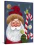 Santa with Candy-Beverly Johnston-Stretched Canvas
