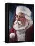 santa2015-Meadowpaint-Framed Stretched Canvas