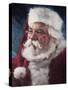 santa2015-Meadowpaint-Stretched Canvas