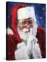 santa2-Meadowpaint-Stretched Canvas