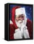 santa2-Meadowpaint-Framed Stretched Canvas