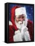 santa2-Meadowpaint-Framed Stretched Canvas