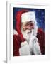 santa2-Meadowpaint-Framed Giclee Print