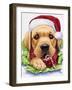 Santa-Jenny Newland-Framed Giclee Print