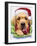 Santa-Jenny Newland-Framed Giclee Print