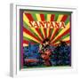 Santana: Freedom-null-Framed Premium Giclee Print