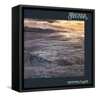 Santana: Moonflower-null-Framed Stretched Canvas