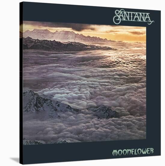 Santana: Moonflower-null-Stretched Canvas