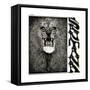 Santana-null-Framed Stretched Canvas