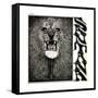 Santana-null-Framed Stretched Canvas