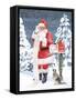 Santas List III-Beth Grove-Framed Stretched Canvas