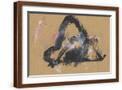 Brown Frame