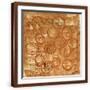 Brown Frame