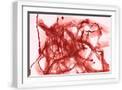 White Frame