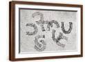Brown Frame