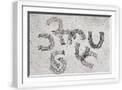 White Frame