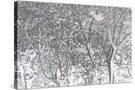 Stretched Canvas