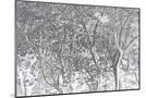 Wood Mount