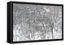 Canvas Black