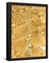 Essential Black