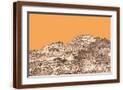 Brown Frame