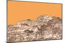 Wood Mount