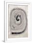 Gramercy White