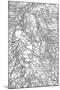 Wood Mount