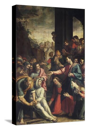 Stretched Canvas Print, , large