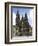 Santiago Cathedral on the Plaza Do Obradoiro, Santiago De Compostela, Spain-R H Productions-Framed Photographic Print