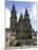 Santiago Cathedral on the Plaza Do Obradoiro, Santiago De Compostela, Spain-R H Productions-Mounted Photographic Print