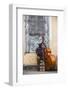 Santiago De Cuba Province, Historical Center, Street Musician Playing Double Bass-Jane Sweeney-Framed Photographic Print