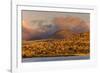 Santiago Island, Galapagos Islands, Ecuador.-Adam Jones-Framed Photographic Print