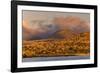 Santiago Island, Galapagos Islands, Ecuador.-Adam Jones-Framed Photographic Print