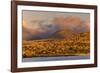 Santiago Island, Galapagos Islands, Ecuador.-Adam Jones-Framed Photographic Print