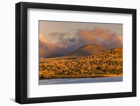 Santiago Island, Galapagos Islands, Ecuador.-Adam Jones-Framed Premium Photographic Print