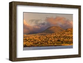 Santiago Island, Galapagos Islands, Ecuador.-Adam Jones-Framed Photographic Print