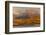 Santiago Island, Galapagos Islands, Ecuador.-Adam Jones-Framed Photographic Print