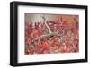 Santiago lava-lizard, among Galapagos carpetweed, Galapagos-Tui De Roy-Framed Photographic Print