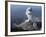 Santiaguito Ash Eruption, Guatemala-null-Framed Photographic Print