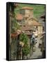 Santillana Del Mar, Cantabria, Spain, Europe-Miller John-Framed Stretched Canvas