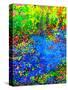 Stretched Canvas