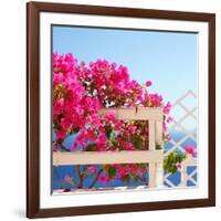 Santorini Blooms-Sylvia Coomes-Framed Photographic Print