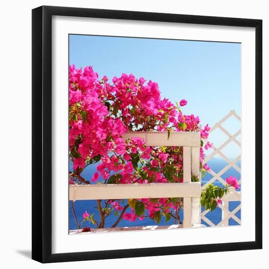 Santorini Blooms-Sylvia Coomes-Framed Photographic Print