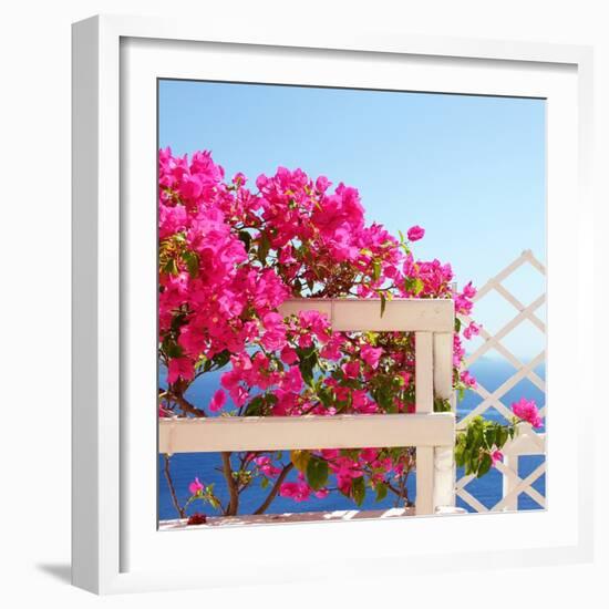 Santorini Blooms-Sylvia Coomes-Framed Photographic Print