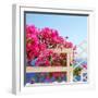 Santorini Blooms-Sylvia Coomes-Framed Photographic Print