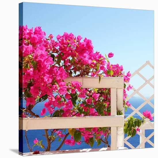 Santorini Blooms-Sylvia Coomes-Stretched Canvas